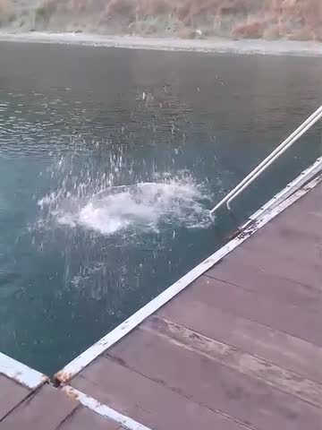 №18. Прыжок 2 с пирса